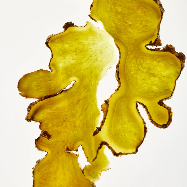 Ginger Scalp Serum - Image 4